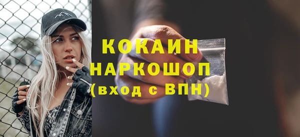 винт Арсеньев